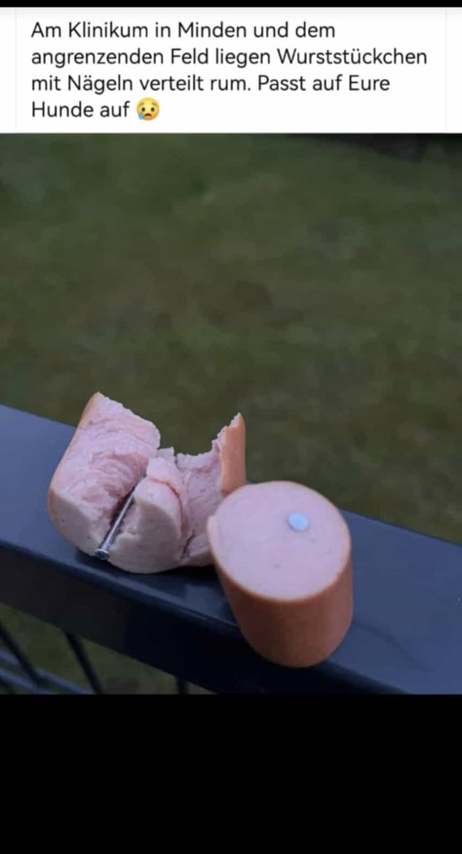 <a href="/Nanukonice/">Nanuk</a>