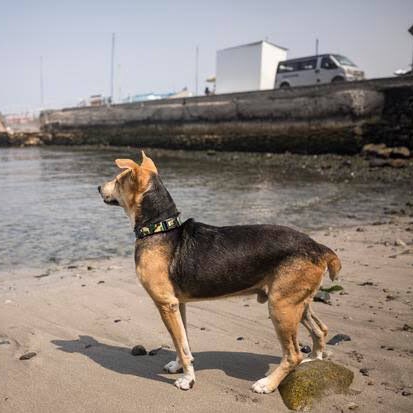 Wálter Meléndez 🇵🇪 tweet media