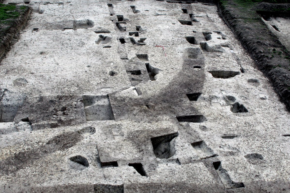 CotswoldArch's tweet image. 🎉 This month marks half a decade of working with our fantastic #Suffolk team 🤩 To celebrate, we're turning the week over to sharing their top discoveries from the past five years...

Starting us off is the #medievalMarvel of #Burwell, where the team revealed the presence of a…