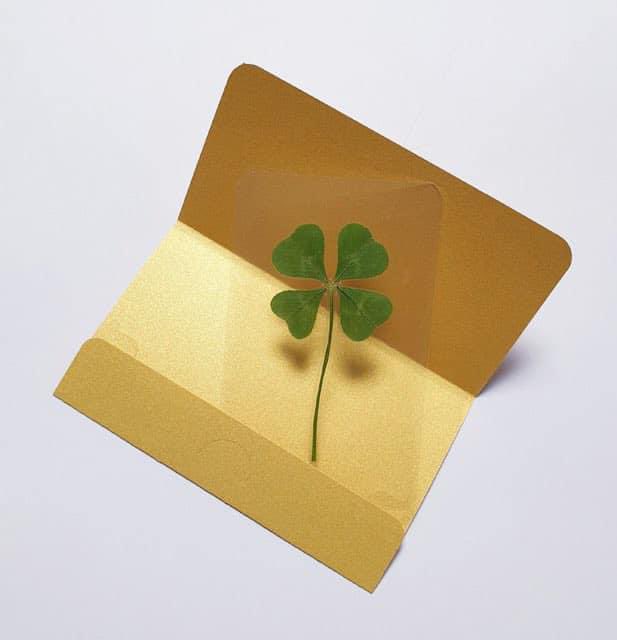 shopfankpop's tweet photo. (เปิดจอง)
Leaf Clover ใบโคลเวอร์ 🍀 

💫 ใบไม้แห่งความโชคดี เชื่อกันว่าสามารถให้โชคได้ถึง 4 ประการ โดยหากผู้ใดมีไว้ในครอบครอง ไม่ว่าจะอยู่ที่ไหน จะเดินทางไปแห่งหนใดก็จะพบเจอแต่ความโชคดีตลอดไป พกติดตัวได้ใส่กระเป๋าตัง หรือเอาไว้หลังเคสมือถือได้  

ใบละ 49 บาท
ค่าส่งเหมา 30 บาท 

ของถึงไทยค่อยโอนเงิน 
ถึงไทยประมาณ 5-6 พ.ค.นี้ค่ะ☺️