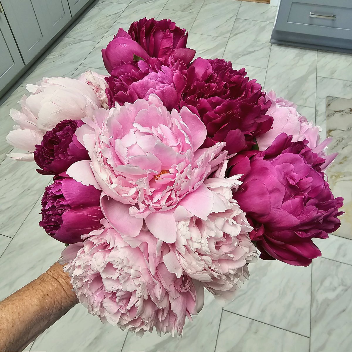 falconluvr's tweet photo. #AlphabetChallenge #WeekP
P is for #pink peonies https://t.co/PmdbI4IsVx