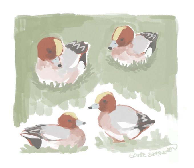 「duck signature」 illustration images(Latest)