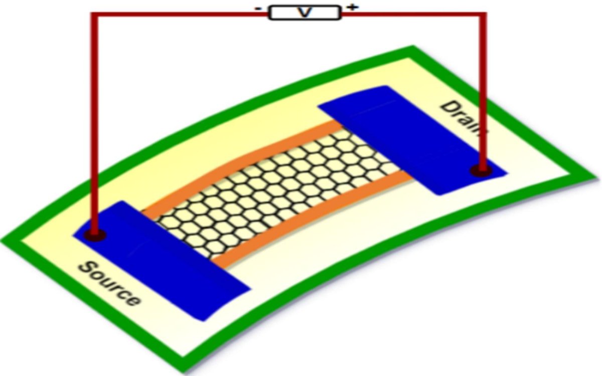 A team consisting of researchers from IIT Bombay, India Korea Science and Technology Center (IKST), Bengaluru, led by Prof. Bhaskaran Muralidharan, Department of Electrical Engineering, IIT Bombay, used theoretical analyses to predict the properties of buckled Xenes.