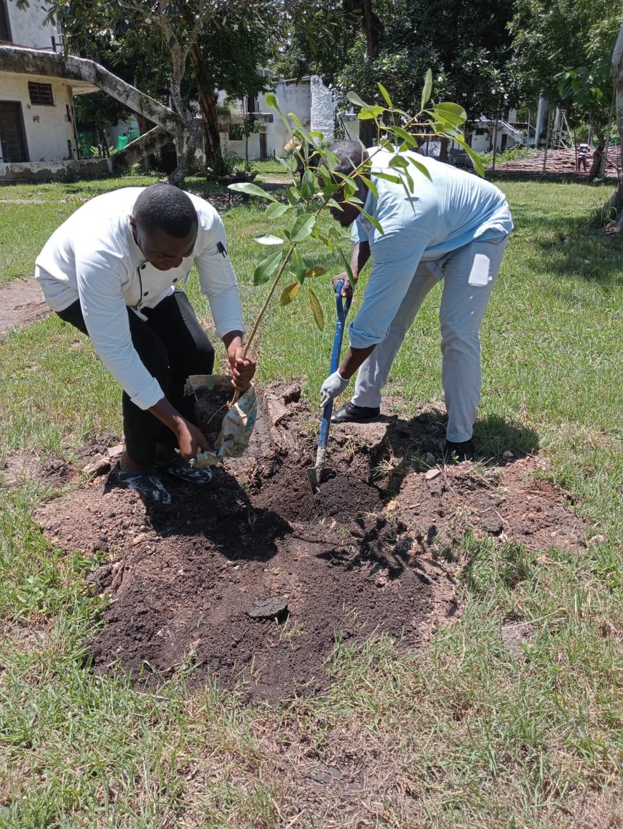 Happy Earth Day! Our commitment to sustainability runs deep,& with the Earth Day Challenge, our departments are hard at work finding innovative ways to reduce our environmental footprint. #SafariBeachDiani #EarthDay #PlanetsVsPlastics #EarthDayChallenge #ADelightfulPlaceToWander