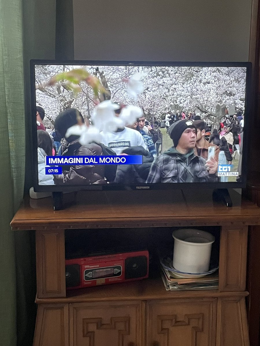 RAI covering the cherry blossoms in High Park, Toronto