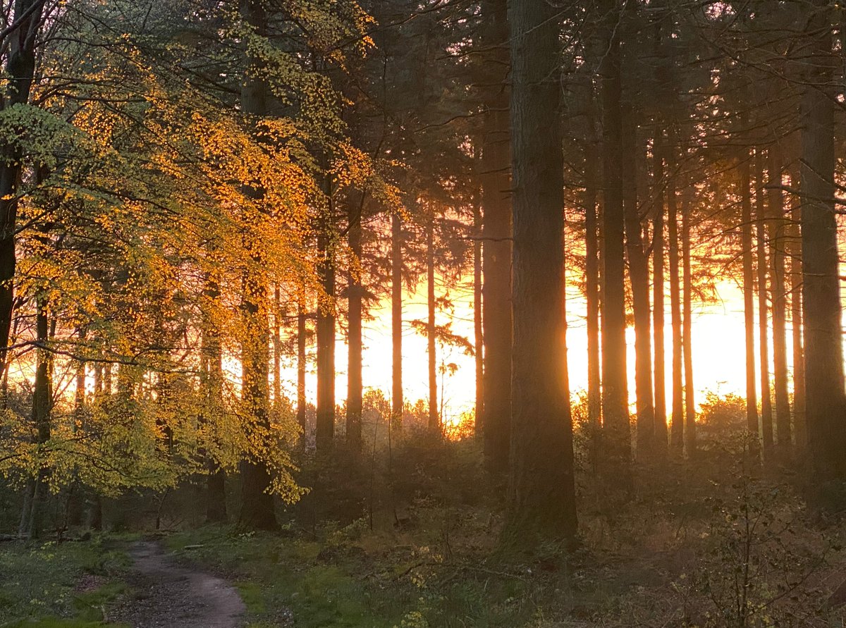 Revolution-ZERO (@revolutionzero1) on Twitter photo Earth Day sunrise  in Bluebell Woods, Hampshire, UK - 22 April 2024
#GreenNHS #TogetherWeCan 🙏🌍⚕️ Earth Day sunrise  in Bluebell Woods, Hampshire, UK - 22 April 2024
#GreenNHS #TogetherWeCan 🙏🌍⚕️