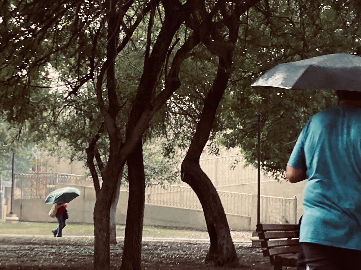 Colegas ☂️

#urbanphotography
#streetphotography 
#Straßenfotografie
#photographiederue