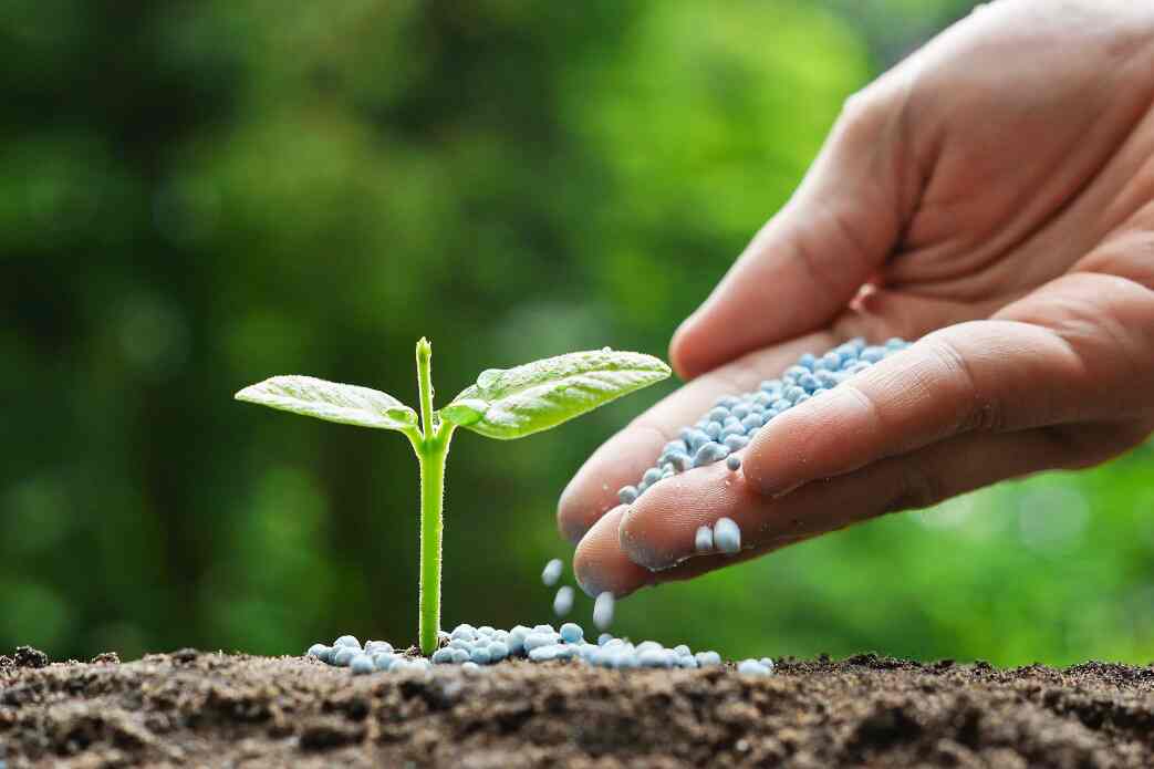 National Fertilizers Gets Navratna Status

Know more: uniquetimes.org/national-ferti…

#uniquetimes #LatestNews #navratnastatus #nationalfertilizer #sharevalue