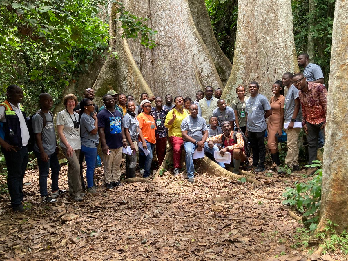 Trialing a new tool to assess forest health tool in Bobiri forest, Ghana as part of our hands-on training on restoring threatened trees through a forest-based approach. #ForestRestoration, #BuildingCapacity