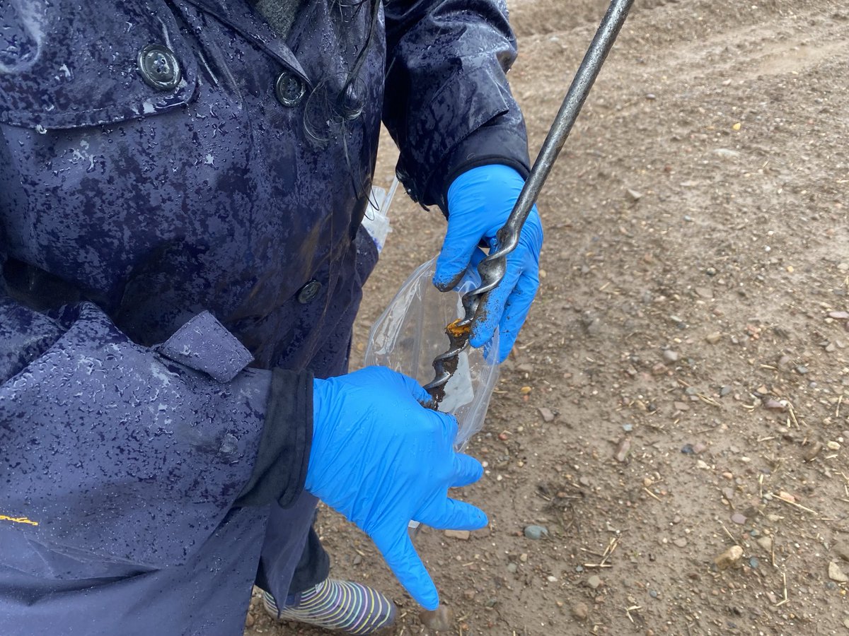 Lorna Dawson, CBE, FRSE, FRSA (@soilfit) on Twitter photo World Earth day. Let’s save our #soils through understanding and care wherever you are on our beautiful planet <a href="/Soil_Science/">British Society of Soil Science</a> <a href="/GeolSoc/">The Geological Society</a> #worldearthday Soils should unite our Souls as we depend upon it being healthy to keep us, and our planet healthy. World Earth day. Let’s save our #soils through understanding and care wherever you are on our beautiful planet <a href="/Soil_Science/">British Society of Soil Science</a> <a href="/GeolSoc/">The Geological Society</a> #worldearthday Soils should unite our Souls as we depend upon it being healthy to keep us, and our planet healthy.