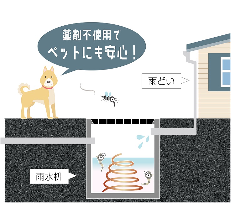 住宅街で蚊がどこからやってくるか考えた事ありますか？

蚊は水面に卵を産み水中で１０日以上かかって成虫になります。

すなわち１０日以内に乾いてしまう「水たまり」や「雨どい」では卵を産んでも育ちません。

植木鉢の皿も毎日水やりしないとすぐに乾いてしまいます。