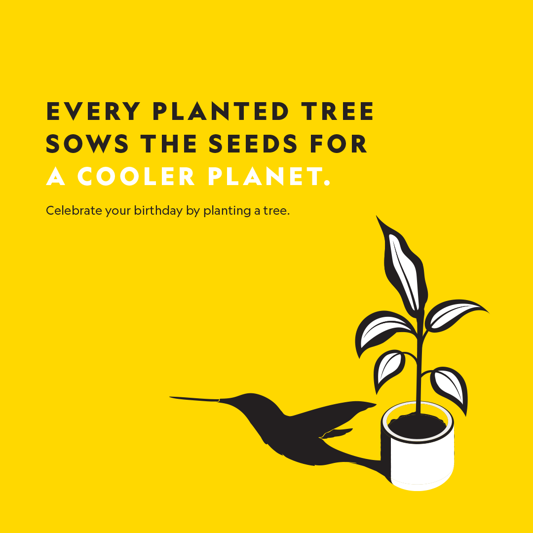 NatGeoIndia's tweet photo. Let’s adopt sustainable practices into our daily lives & inspire others.
The Time To Act is Now! Adopt Sustainable Living. #OneForChange
To learn how you can help, visit our wall on Instagram @natgeoindia. #OneForChange #EarthDay #NatGeoIndia https://t.co/bnR0Ss4xTJ