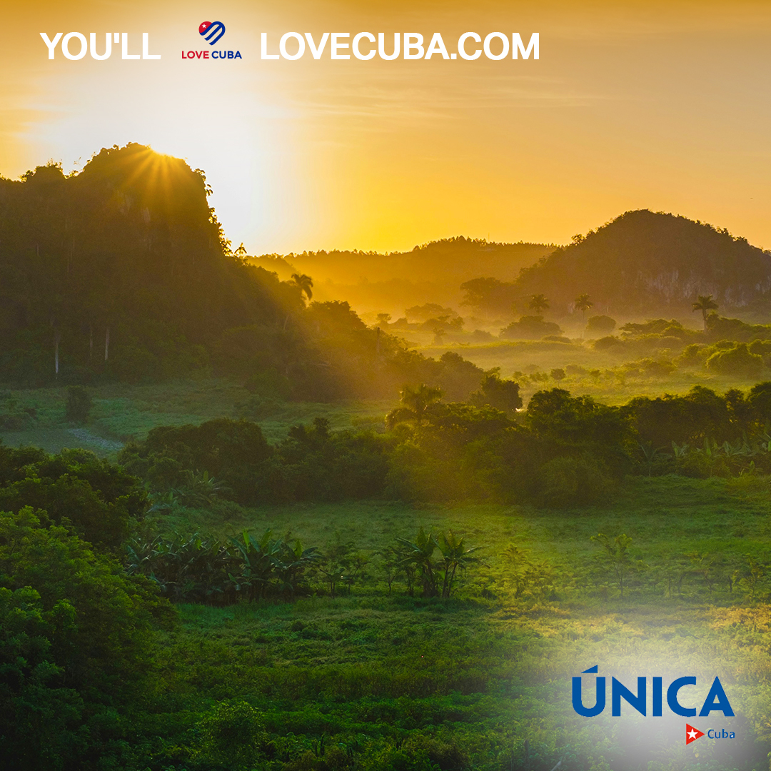 LoveCubaUK's tweet photo. Experience Cuba from a bird's eye view with breathtaking aerial shots of its mesmerizing forests and coastal beauty. Fly high and book your aerial adventure with Love Cuba today. 🏝️ 🌊
#Cuba #cuban #lovecuba #ilovecuba #lovecubauk #ExperienceCuba #explorecuba #cubatravelling #cubatravellers #cubarchitecture #discovercuba #cubanculture #vinãles #viñalescuba #vinalesvalley #classiccars #classiccarculture #visitcuba #cubaattractions #CubaUnica #cubaHolidays #caribbean #CubaTravel
📞 Call us today on 0207 071 3636 or visit our official website https://t.co/M4oyEFMSFc
