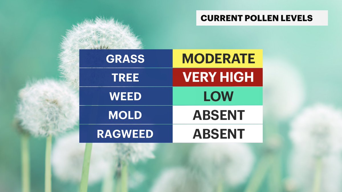 🌱HAPPY EARTH DAY!
Frost Advisory until 9AM for more than 75% of the state this morning. The chill doesn't last long, as temps jump towards 65 degrees under our beautifully bright sun!
Be mindful of tree allergies today! #LocalMatters