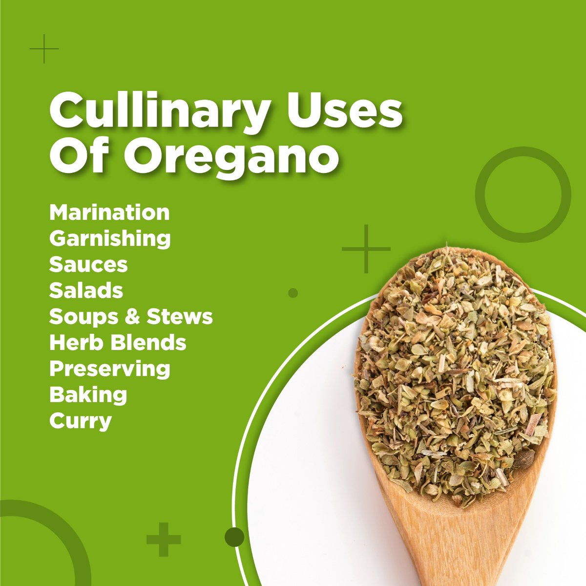 Spices_Board's tweet image. Elevate your culinary creations with oregano's aromatic touch—perfect for pizzas, pastas, salads, and more!  
@doc_goi 
#spicesboard #oregano #incrediblespicesofindia