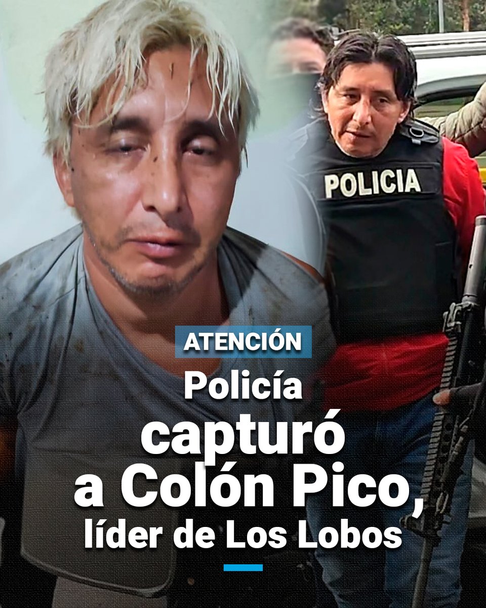 Primicias's tweet photo. #ATENCIÓN | La Policía informó que Fabricio Colón Pico, líder de Los Lobos, fue capturado la madrugada de este lunes en Puerto Quito, Pichincha. https://t.co/ZUS9e5uMAh https://t.co/Unz2NxkVrW