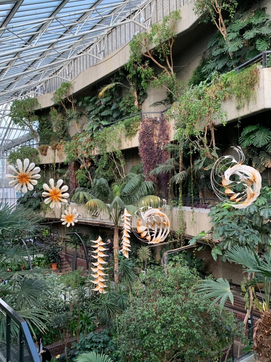 Suk66508394's tweet photo. Barbican Conservatory🌳
The lighting is soft and the results of the selfie shots are pretty good~ https://t.co/WRsgfScGJI