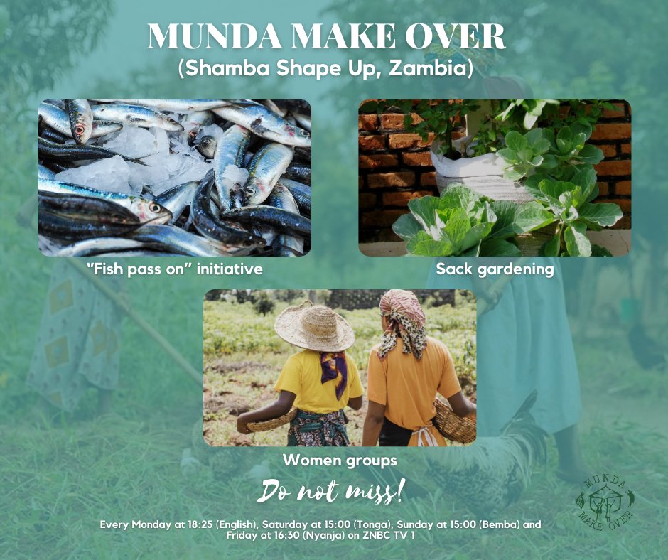 Get to learn more about the ''Fish Pass On'' initiative that aims to improve nutrition for small-scale farmers this week on Munda Make Over, Zambia 👨‍🌾 Do not miss!