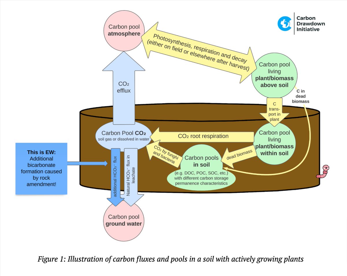 Carbon Drawdown Initiative (@carbon_drawdown) on Twitter photo Introducing the “Carbdown Model” of carbon fluxes and pools in the soil
Visualizing how enhanced weathering works in the soil from a "carbon perspective"
Our latest blog article introduces our carbon-focused thought-model of the processes that occur in the soil after adding rock Introducing the “Carbdown Model” of carbon fluxes and pools in the soil
Visualizing how enhanced weathering works in the soil from a "carbon perspective"
Our latest blog article introduces our carbon-focused thought-model of the processes that occur in the soil after adding rock