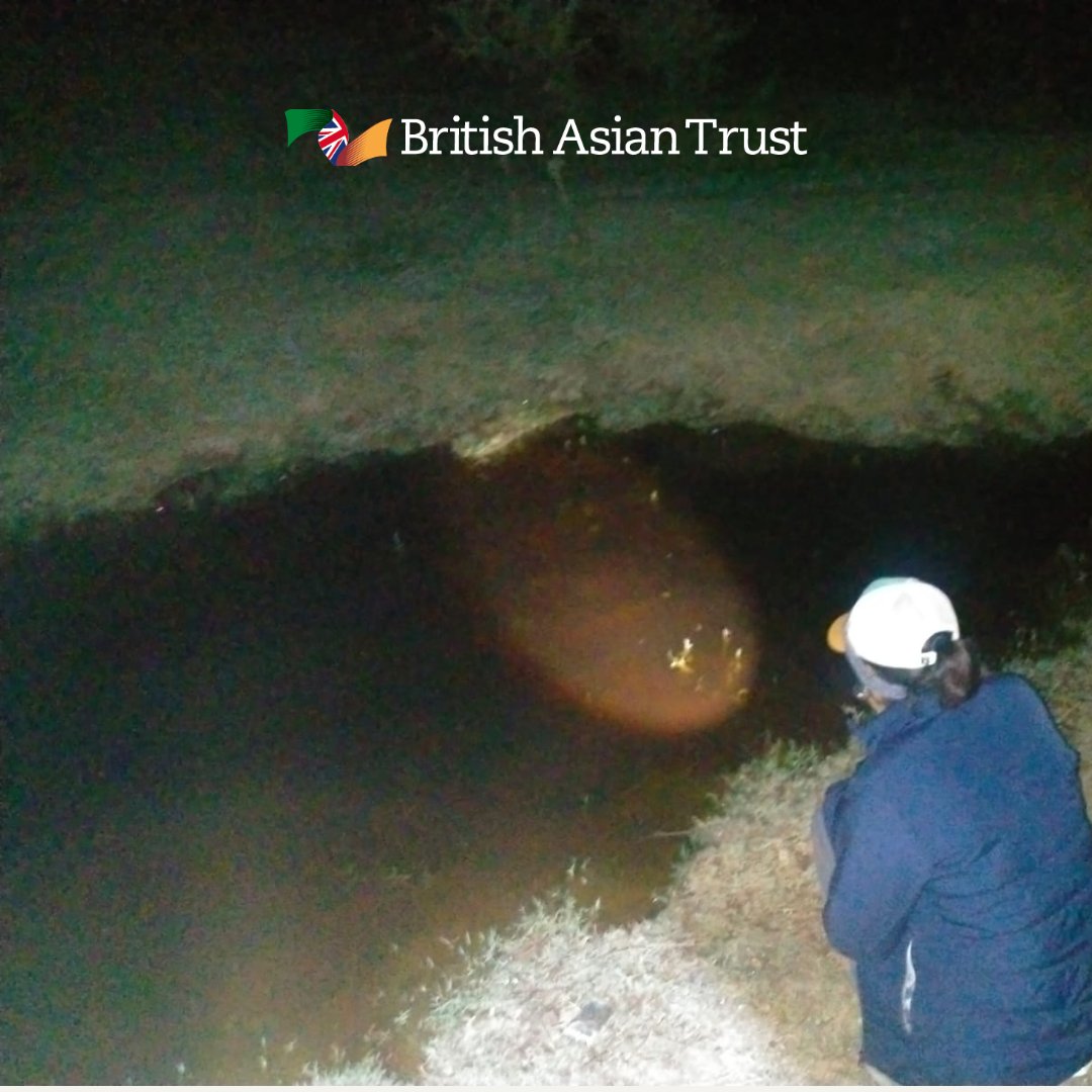 Crocodile count! 🔍 In Gujarat's Charotar region, our @CoexConsortium Fellows are on a mission to count these incredible reptiles in our project area. By day, they spot crocs basking in the sun and at night, they catch their glowing eyes in village ponds. 📷🐊