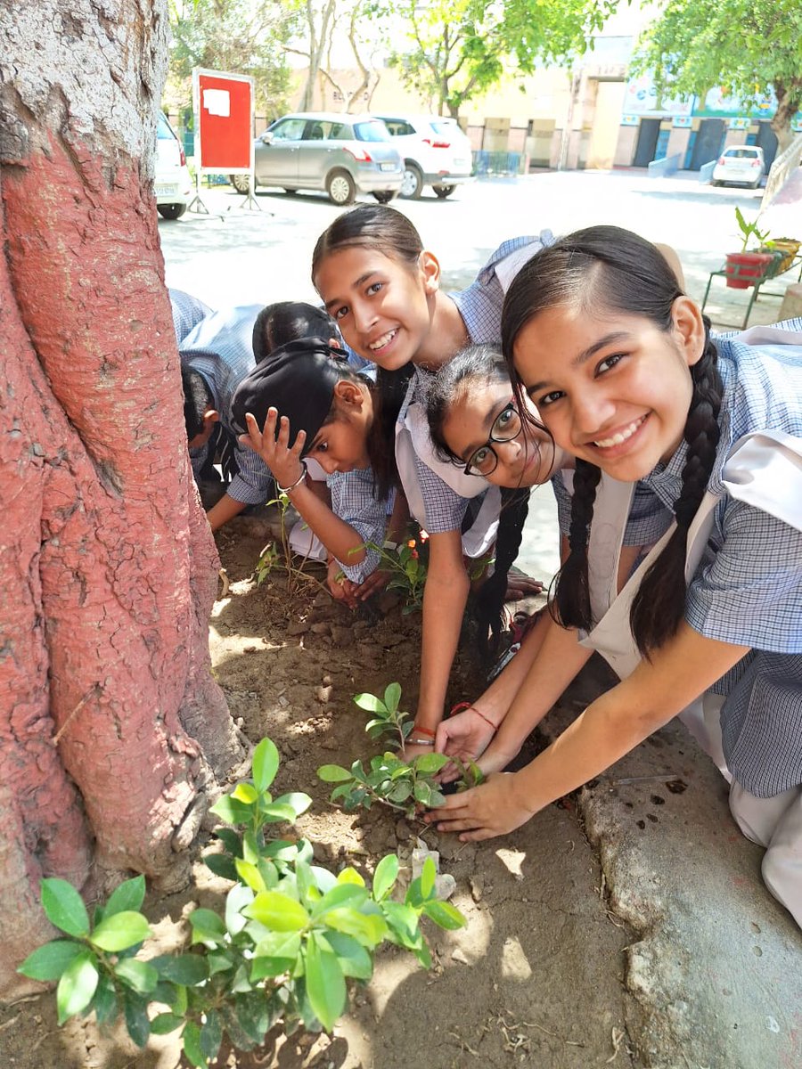 gcssspv's tweet photo. Glimpses of Earth Day celebration (22-4-2024)
The following activities were organized 
1.Poster making
2.Slogan Writing
3.Tree plantation
4.Nature walk
5.Rally
Gratitude Principal sir,Eco club incharge Anju ma'am  and all staff members. @Dir_Education @gcssspv https://t.co/GaSxqTk9ON