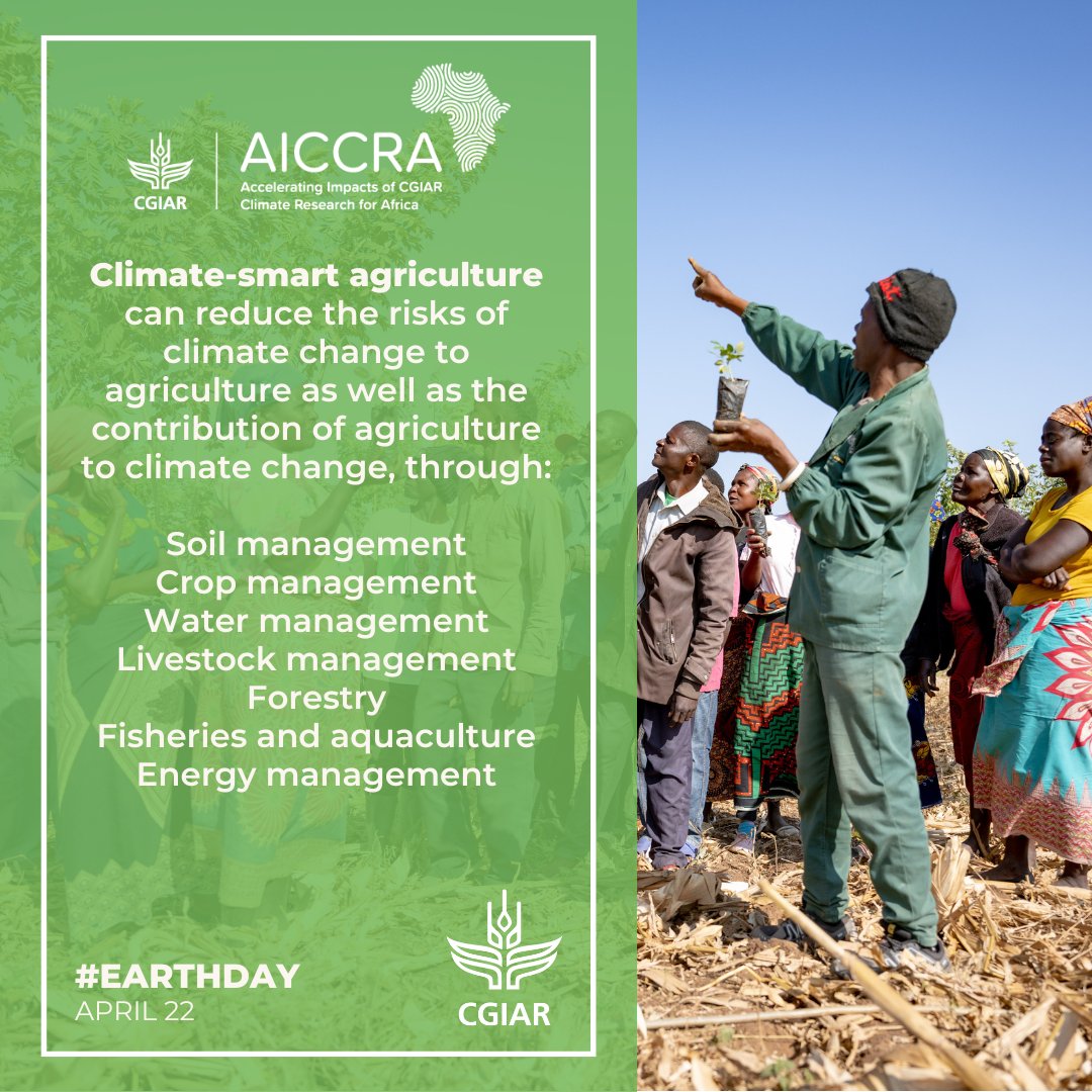 On #EarthDay, we recognize the role of climate-smart agriculture in boosting productivity, building adaptive resilience for Africa's small-scale farmers, and encouraging farming practices that look after the earth. Learn more about how AICCRA & partners are scaling…