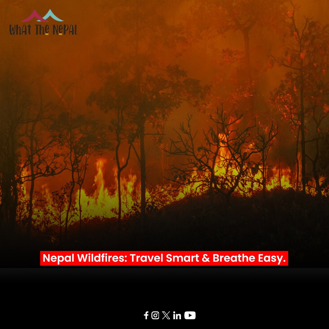 Read More:  whatthenepal.com/.../nepal-wild…

#nepal #nepaltourism #tourism #wildfires #enjoythetrip #exploretolive #airpollution #traveladvisory #explorenepal  #sustainablefuture #ecofriendly #environmentalpolicy #Whatthenepal