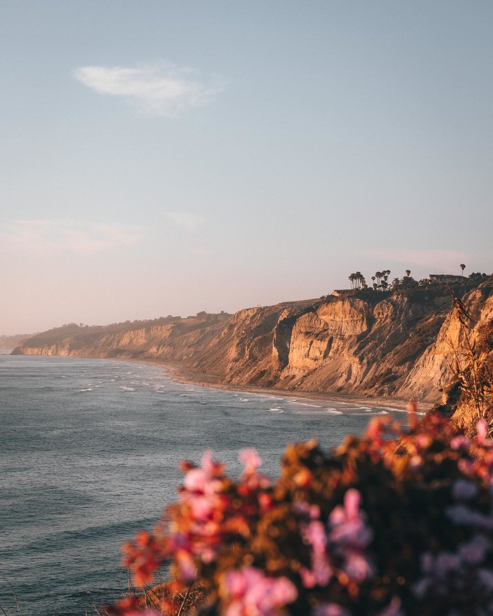 Happy Earth Day. 🌎 Here's to every seed planted, beach cleaned, and step taken towards a sustainable future for our beautiful planet. 🌱♻️ bit.ly/443z4oJ 📷: @vince.sal