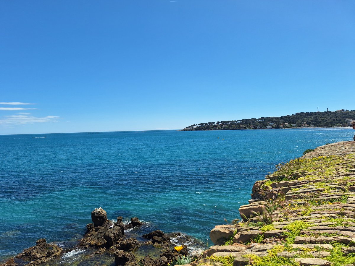 Quand je regarde la #méditerranée je me dit que nous n'avons vraiment pas de chance 
Il y manque de véritable requins une centaine de requins Blancs pour dépolluer nos côtes 

Vivement le #réchauffementclimatique