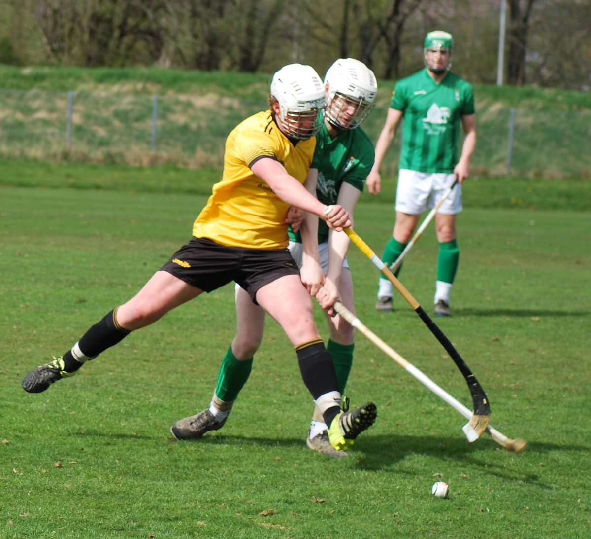 Fort William Shinty Club tweet media