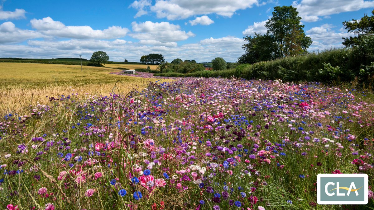 Happy #EarthDay!🌍 A day to celebrate our #naturalworld and the hardworking custodians of our #countryside. #EarthDay2024