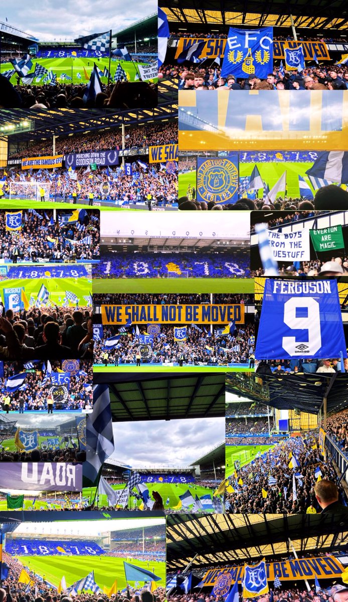 Goodison Park in all its glory yesterday.

😍💙🤍💛😍