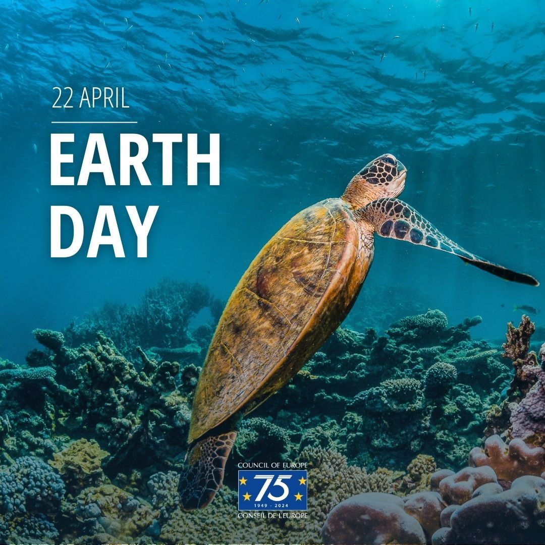 It's #EarthDay! Our ecosystems host thousands of animals and plants that live in a delicate balance. We are part of this ecosystem. NEVER SEE YOURSELF OUT OF IT #SaveThePlanet #CoE <a href="/UN_YUNGA/">YUNGA</a> 
<a href="/LtdStart/">Start Easy ltd</a> is piloting the #plasticchallenge in <a href="/Brent_Council/">Brent Council</a> schools 🌍🐚🪸🐢🐠🪼
