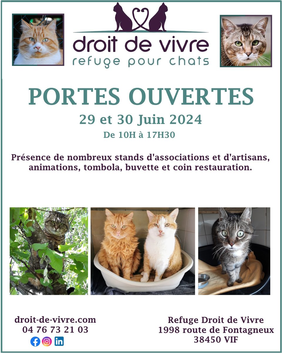 Les portes ouvertes du refuge auront lieu les 29 et 30 juin. Plus d'infos dans les semaines à venir. 
#portesouvertes #chats #associationprotectionanimale #refugepourchats #juin2024 #momentfestif #isere #grenoble #villedevif #varces #trieves #buvette #journéeportesouvertes