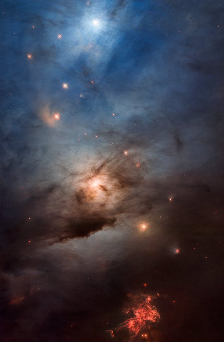 #Hubble Space Telescope close-up frames a region just over 1 light-year wide of NGC 1333. A reflection nebula, dominated by bluish hues characteristic of starlight reflected by interstellar dust.
#Astrophotography 
Credit #NASA #ESA Processing - V. Bajaj, J. DePasquale, J. Mack