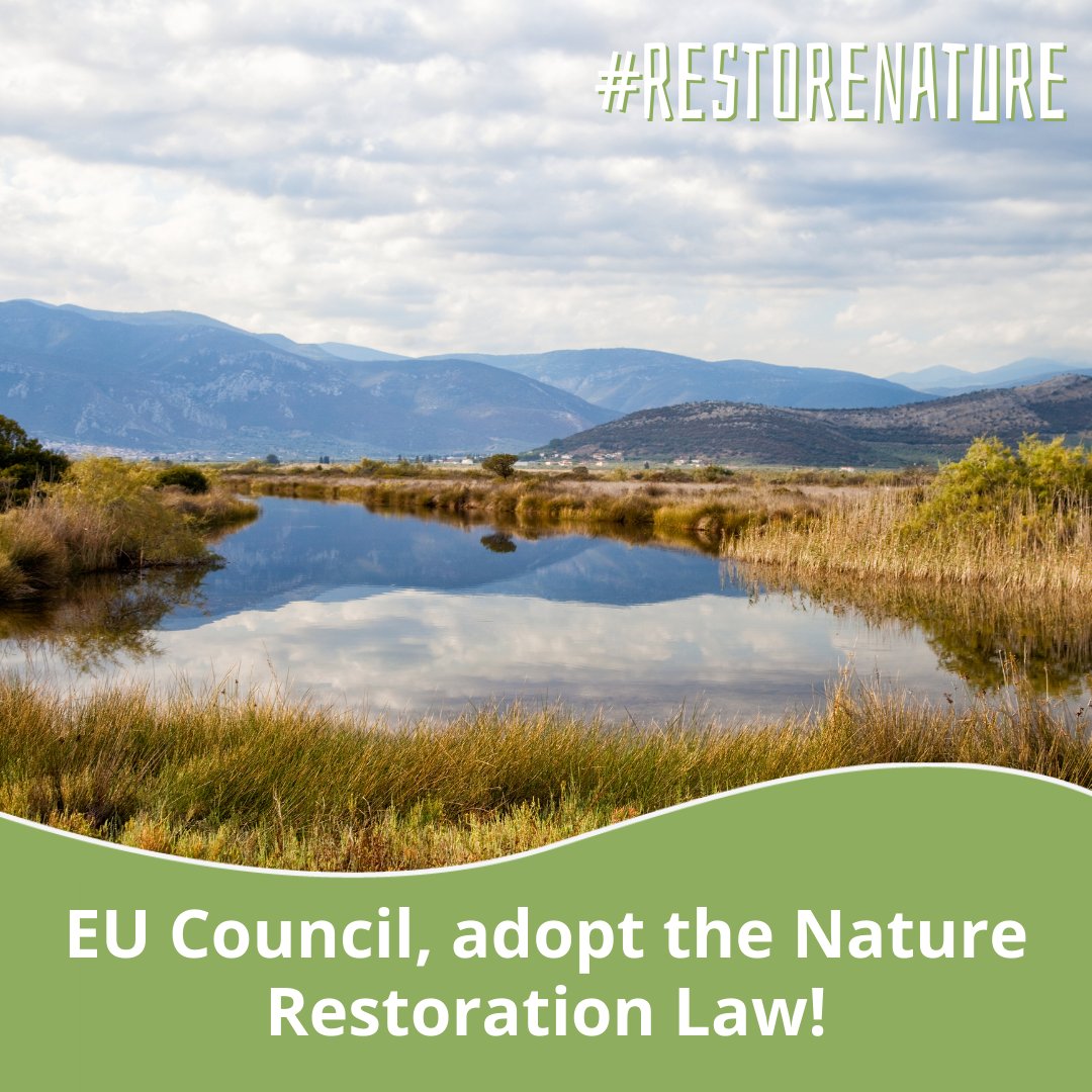 🌡️Record-breaking temperatures ☔️Devastating floods 🥀Water shortages 🔥Life-threatening wildfires This is our new reality in Europe, the fastest-warming continent. The EU #RestoreNature Law is a solution to address all of these issues. @EUCouncil, what are you waiting for?