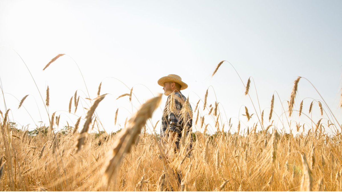 📢 El pasado miércoles, 10 de abril, se publicaron en el BOE las bases reguladoras de las subvenciones supra autonómicas destinadas al sector agroalimentario y forestal, en el marco del Plan Estratégico de Política Agrícola Común 2023-2027. 📲 Info 👇🏻 foodforlife-spain.es/publicadas-las…