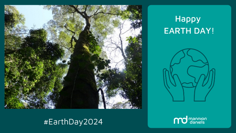 Happy #EarthDay! 🌍 From our certification as a @BCorpUK to mitigating our travel emissions + working with communities in Kakamega, we are always finding ways to make sustainable change that will benefit the planet. Read more 📖manniondaniels.com/environmental-… #EarthDay2024