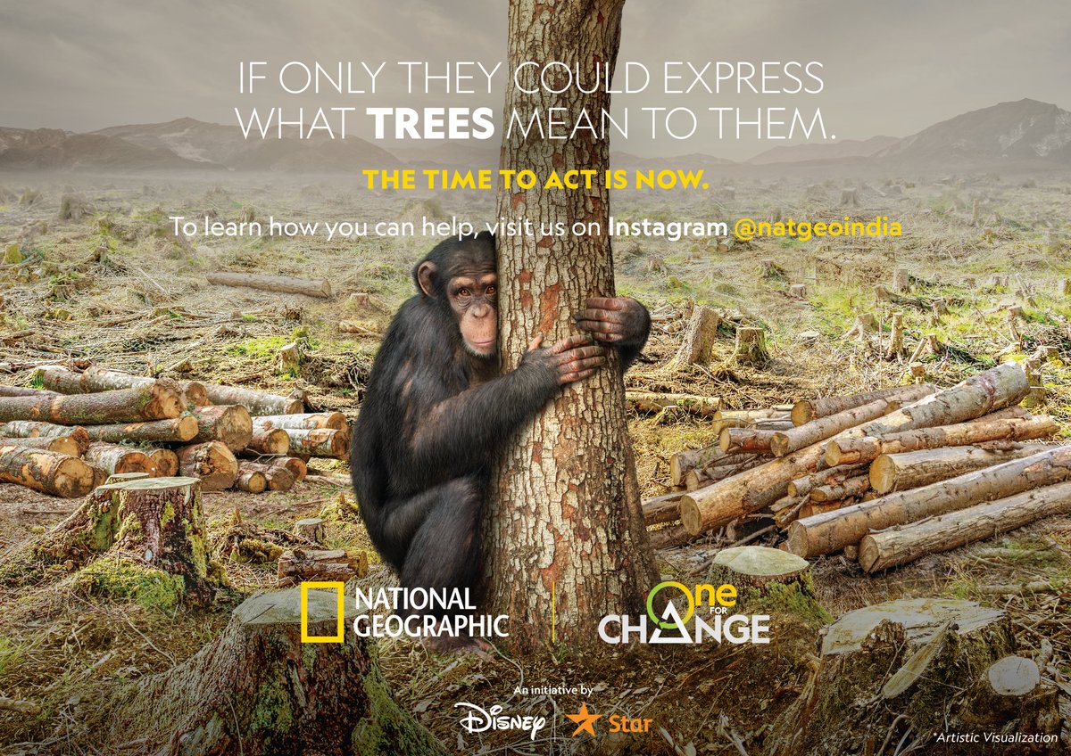 Change begins with one! This #EarthDay, let's contribute to a brighter future. The Time to Act is Now! Adopt Sustainable Living. #OneForChange

To learn how you can help, visit @natgeoindia on Instagram. #NatGeoIndia