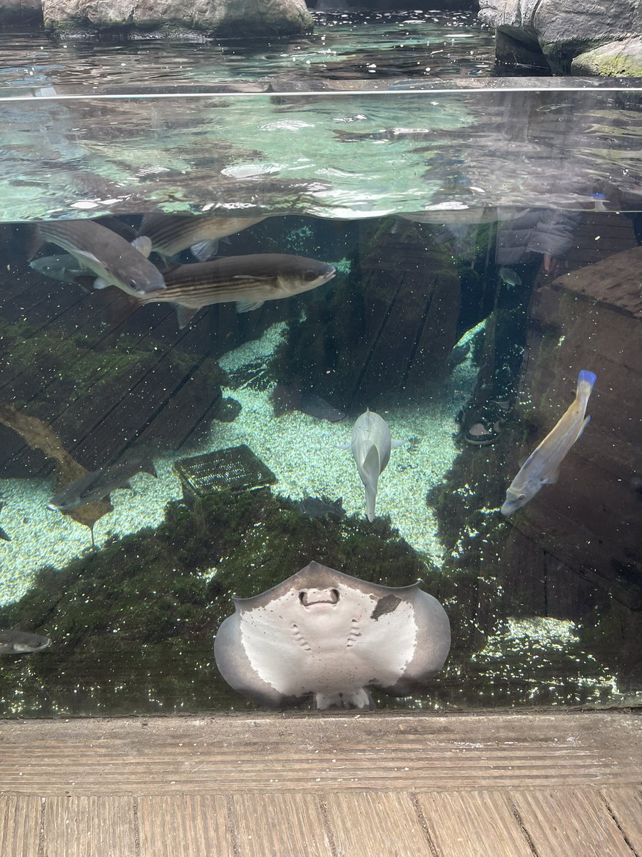 Dosbarth_Class9 tweet media