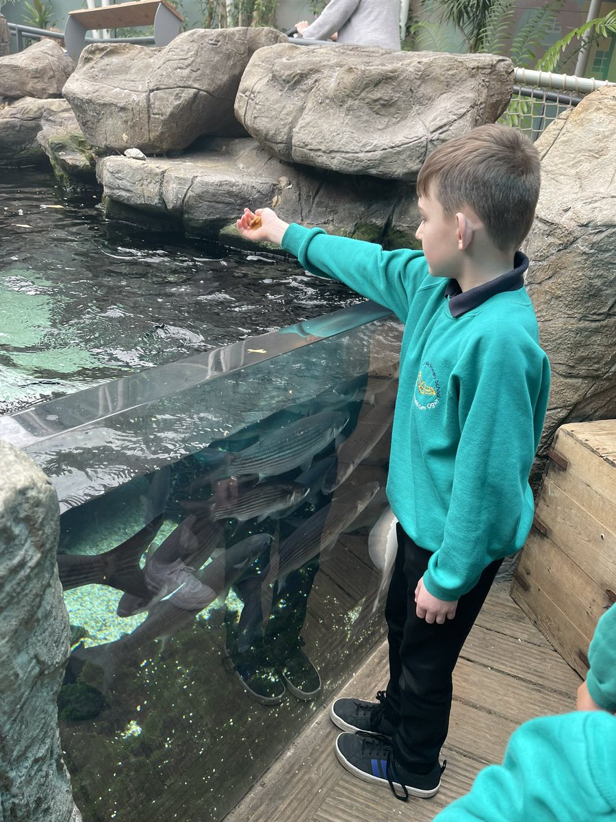 Dosbarth_Class9 tweet media