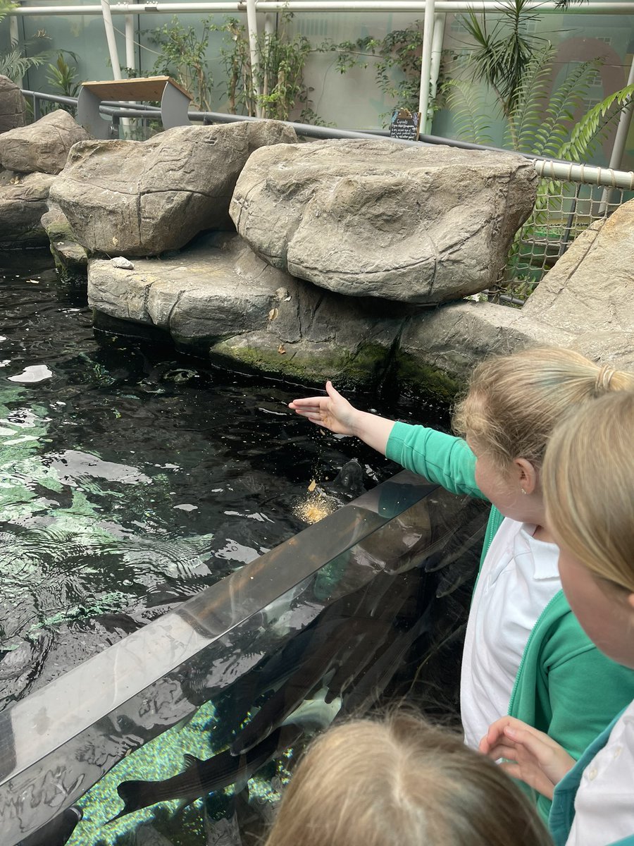 Dosbarth_Class9 tweet media