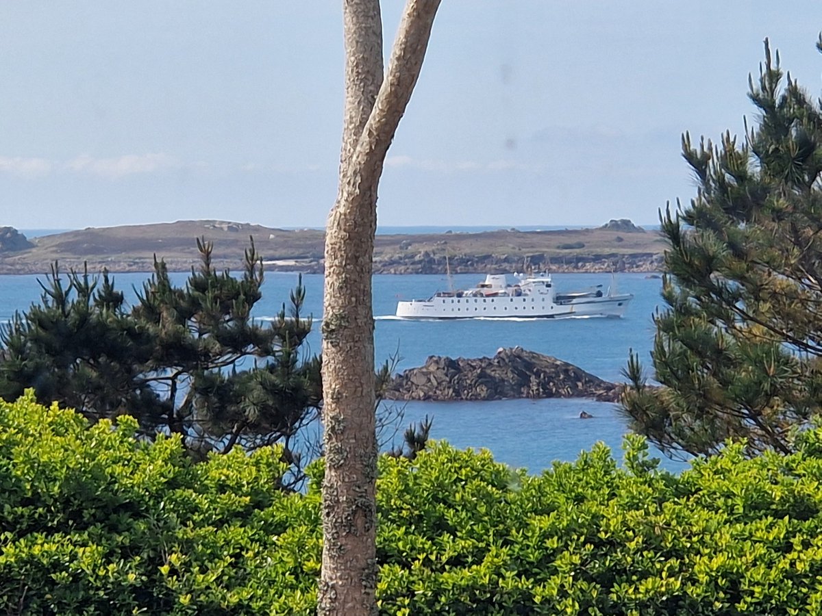 RCHT Infection Prevention and Control (@rchtipac) on Twitter photo Lovely, welcoming team at St Marys hospital over the last few days. Mask Fit tested, IPC audits and Measles update all completed. Scillonian arriving past the office window ready for our return this afternoon <a href="/HIPMitchell/">Chris Mitchell RN</a> <a href="/LouiseD999/">Louise Dickinson</a> <a href="/kimvon_o/">Kim O'Keeffe - BEM</a> <a href="/CornwallFT/">Cornwall Partnership NHS Foundation Trust</a> Lovely, welcoming team at St Marys hospital over the last few days. Mask Fit tested, IPC audits and Measles update all completed. Scillonian arriving past the office window ready for our return this afternoon <a href="/HIPMitchell/">Chris Mitchell RN</a> <a href="/LouiseD999/">Louise Dickinson</a> <a href="/kimvon_o/">Kim O'Keeffe - BEM</a> <a href="/CornwallFT/">Cornwall Partnership NHS Foundation Trust</a>