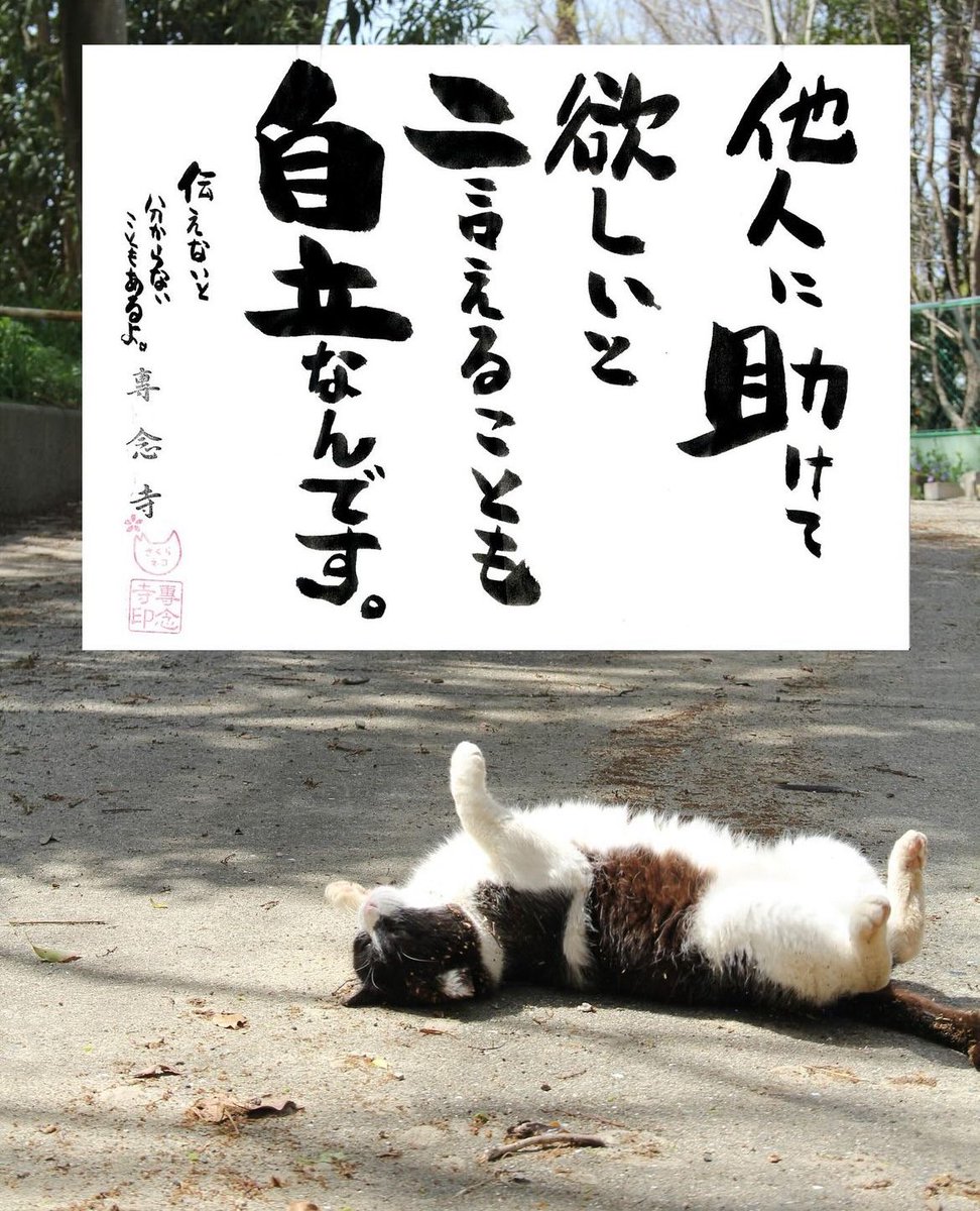 ネコさんから人間さんへ今日の一言