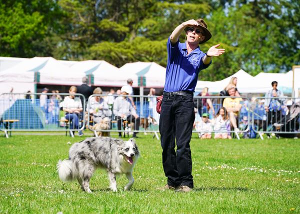 Enjoy a pawfect #dogfriendly #familyfriendly day out, packed with exciting arena displays, dog activities, superb shopping & weekend camping too! @PawsinthePark1 Kent Show 14/15 Sept 2024. Book your tickets online now & #save! bit.ly/472Tjml