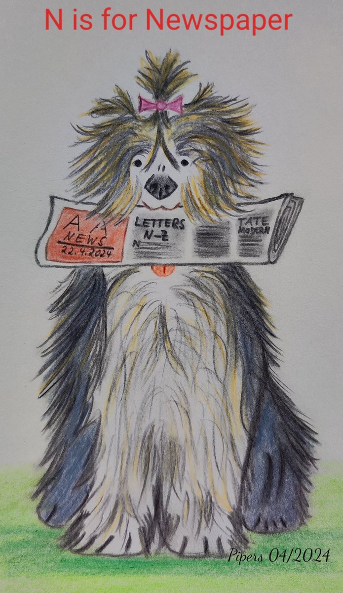 N is for Newspaper @AnimalAlphabets. 
This is Susie, an Old English Sheepdog, bringing the latest 'AnimalAlphabet News' to you. 🗞️
Happy AAMonday everyone! 📰🐶
#animalalphabets #illustration #pencilsketch #pencildrawing #sheepdog #newspaper #art #artchallenge