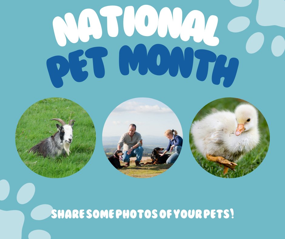 It's National Pet Month!

We love our animal friends here at GAT - why not post a picture of your pet and share the cuteness?

Pictured here - one of our directors' pygmy goats, their faithful dobies, and a tiny gosling!

#NationalPetMonth