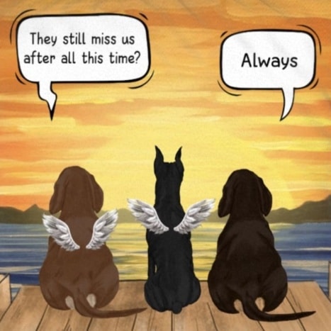 Dalbodog's tweet photo. Always! https://t.co/QjhOToK9wj