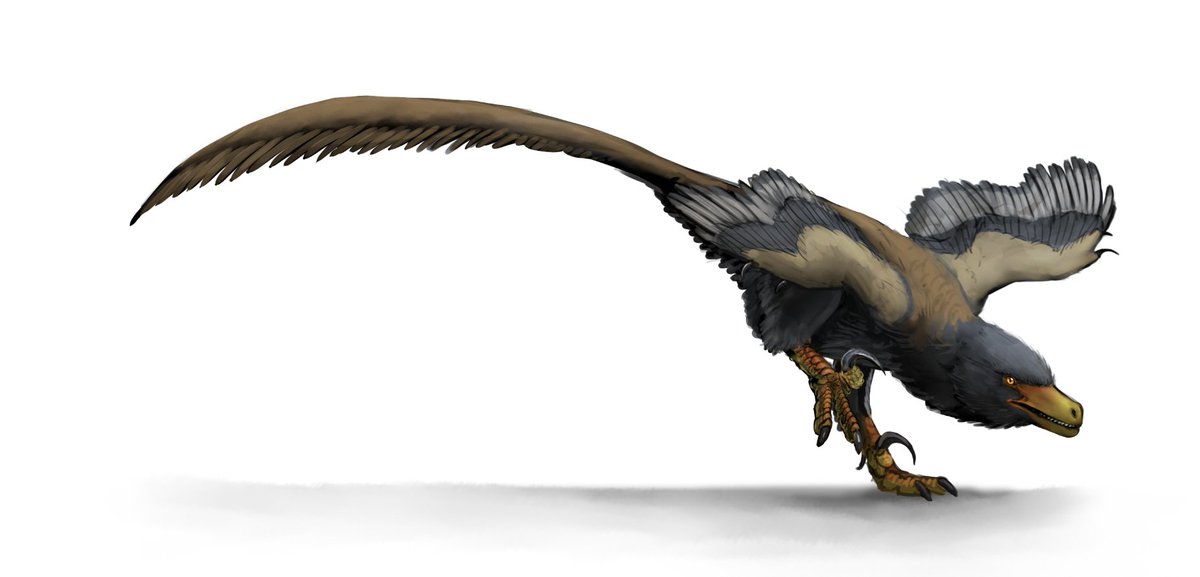 ArtofFabricious's tweet image. Spent a bit more time on this and so far I've enjoyed working on it. Some proportional adjustments and lighting fixes, but still without reference. If I feel like it later I might pull up a skeletal and fix anatomical issues, potentially even putting more effort into rendering.
