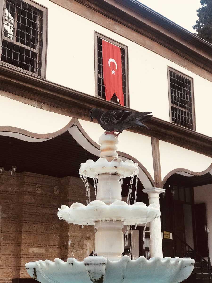 Muzaffer Sezgin tweet media